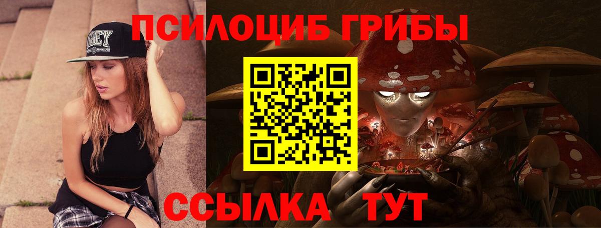 Карачаевск  Галлюциногенные грибы MAGIC MUSHROOMS  Псилоцибиновые грибы ЛСД  Вход с VPN 